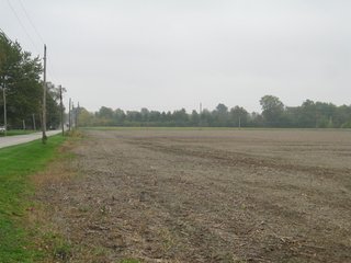 Property photo 1 - 76.8 +/- Acres Mostly Tillable - Land Auction